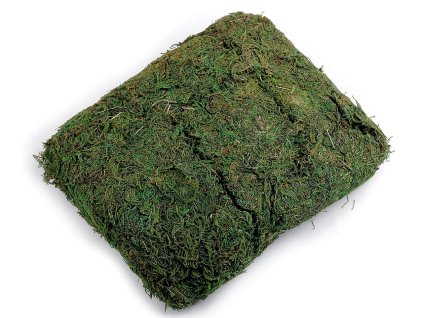 Dekorační přírodní mech 250 g (Balení 1 sáček, Varianta zelená)