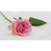 rose gb115405af 1920