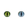Skleněné oči k nalepení drak Ø25 mm (Balení 1 ks, Varianta 2 zelená žlutá)