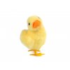 Velikonoční dekorace kačenka (Balení 1 ks, Varianta 2 žlutá)