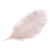 Pštrosí peří délka 60 cm (Balení 1 ks, Varianta 22 žlutá světlá)