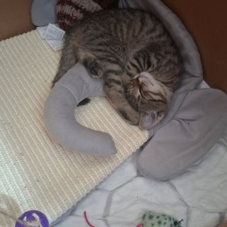 Konečně se vám hlásíme, že máme skoro vše připraveno na září a vlastně na celý rok plný tvoření s námi! ❤️ Ale než vám...