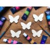 Motýl 5ks