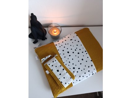 Obal na notebook Sunny Dalmatian