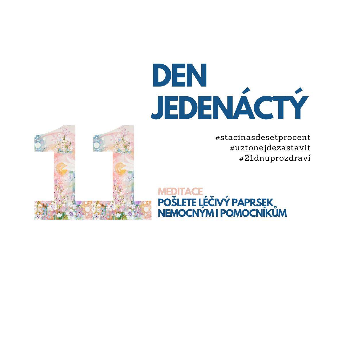 11. den: Meditace pro nemocné a pomocníky