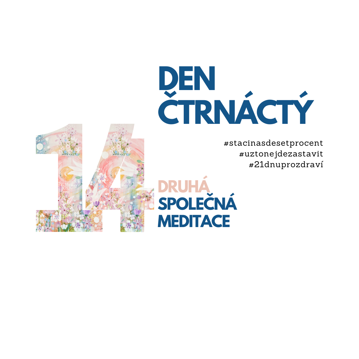 14. den: Meditace druhá