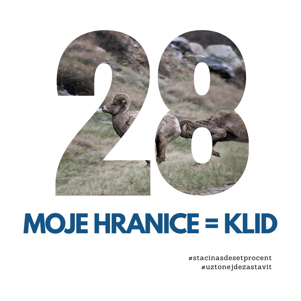 28. den: Moje hranice = Klid