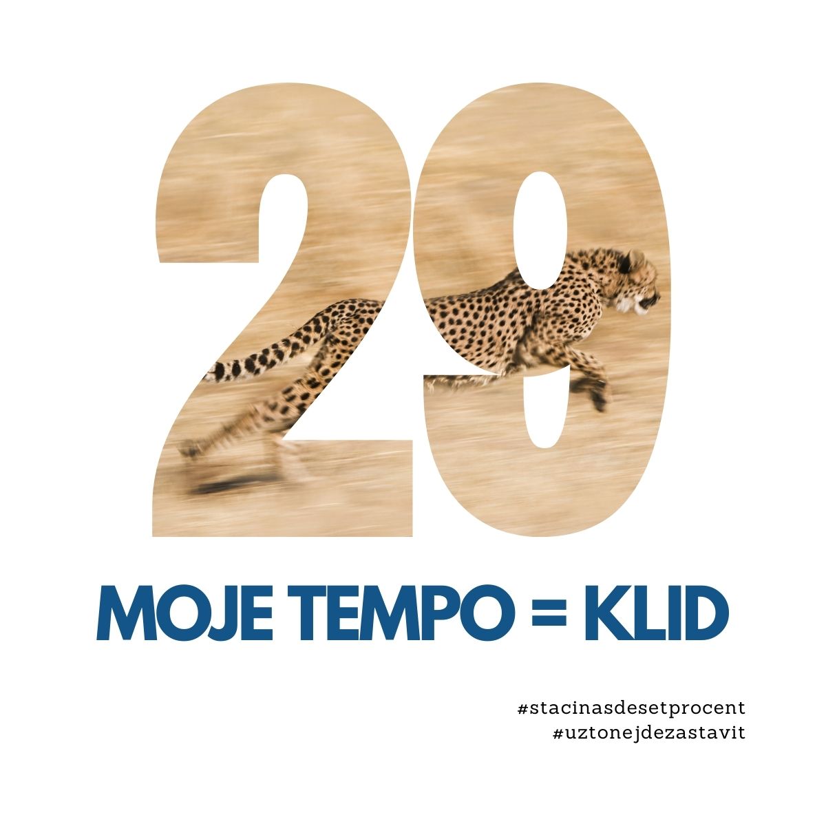 29. den: Moje tempo = Klid