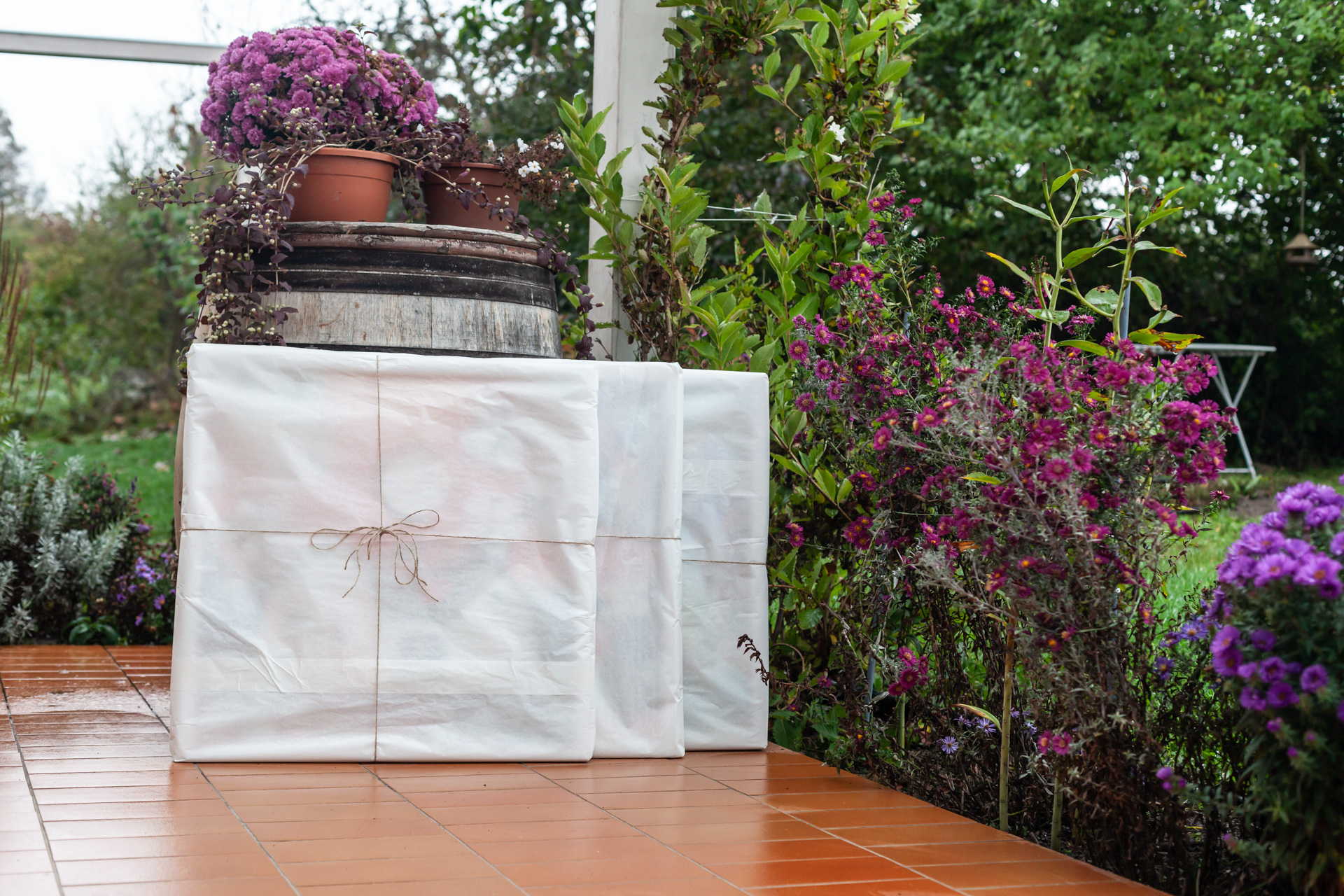 Dar pro Domov důchodců Dobrá voda