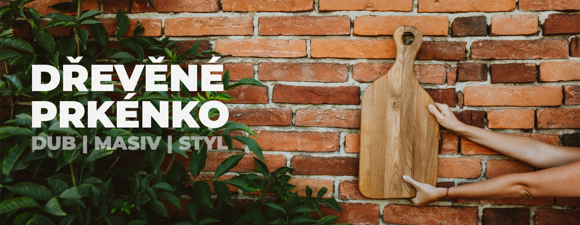 dubove-prkenko-zkulny-velke-popis