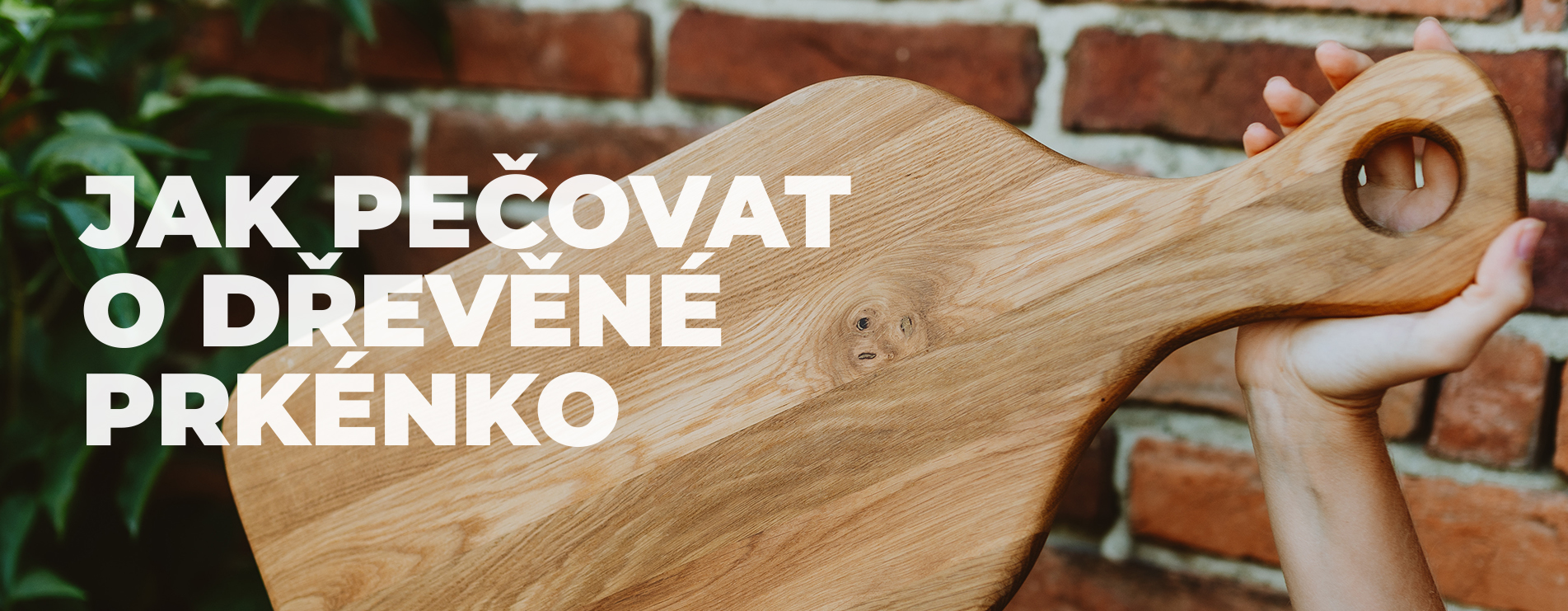 jak-o-prkenko-pecovat