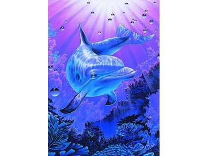 26880 1 diamantovy obrazek delfin 30x40cm