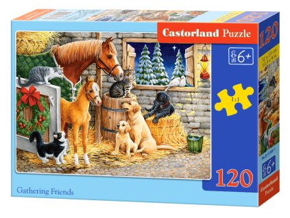 20886 2 puzzle castorland 120 dilku setkani pratel ve staji
