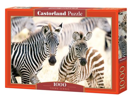 25653 2 puzzle castorland 1000 dilku zebri mladi