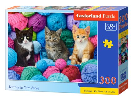 23931 puzzle 300 dilku kocky v prizi