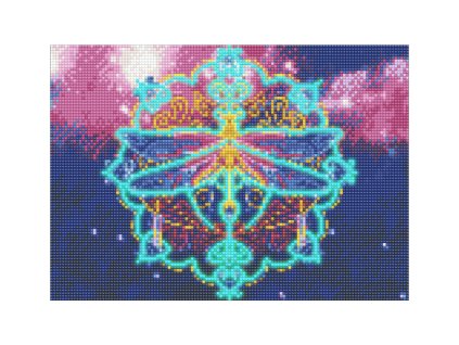 25308 1 5d diamantovy obrazek svitici ve tme vazka 30x40cm