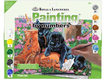 27937 pjl52 packaging