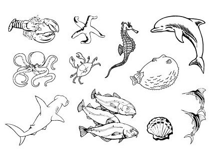 18741 gelova razitka 15 x 10cm podmorsky svet cs 6 7303