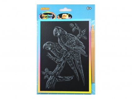 Škrabací obrázek - duhový A5 - papoušek, cena za jeden ks, v boxu 24 ks