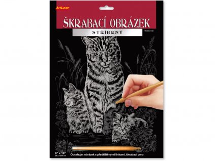 23010 1 skrabaci obrazek stribrny 20x25 cm kocka s kotaty