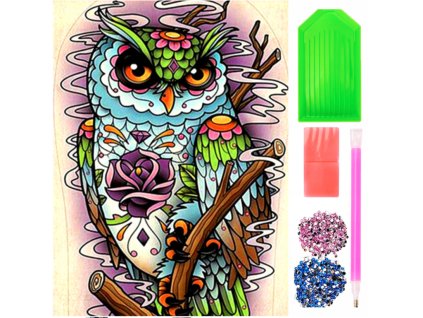 24951 1 diamantovy obrazek sova 30x40cm