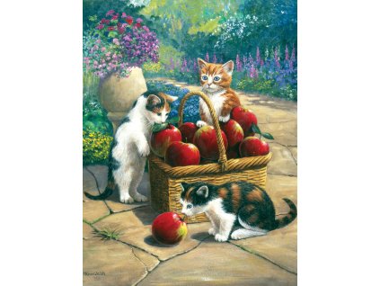 28652 1 pjs48 artwork