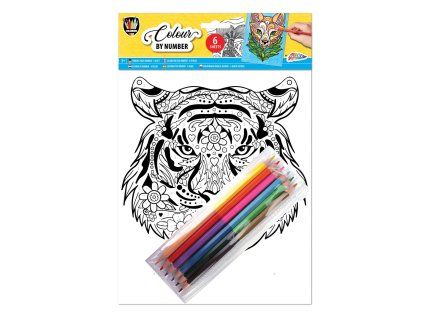 26808 omalovanky podle cisel a4 6 obrazku tygr