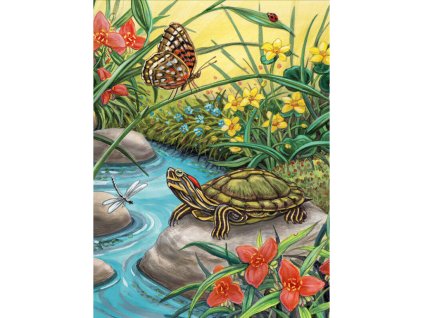 25812 1 malovani podle cisel 22x30 cm zelva s motylkem