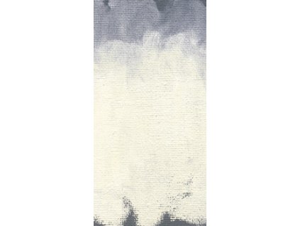 Olej Williamsburg 37ml – 0101 (Barva Titanium White)