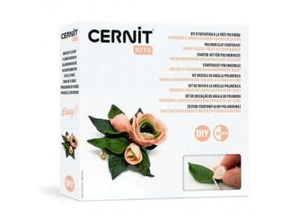 Startovácí sada Cernit (Barva Flower brooch)