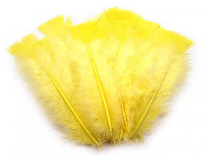 Krůtí peří délka 11-17 cm (Balení 1 sáček, Varianta 1 bílá)