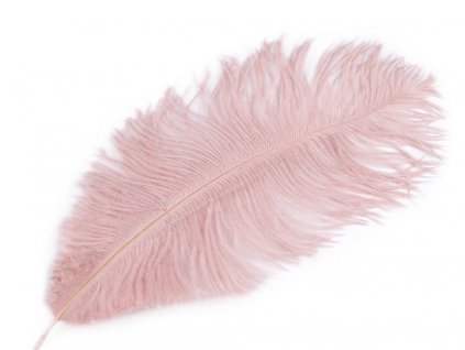 Pštrosí peří délka cca 20-25 cm (Balení 2 ks, Varianta 5 krémová nejsvět.)