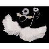Karnevalová sada - anděl, péřová křídla (Balení 1 sada, Varianta bílá)