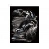 ROYAL and LANGNICKEL Stříbrný vyškrabovací obrázek - Tučňáci