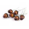 Umělé žaludy na drátku (Balení 6 ks, Varianta hnědá)