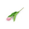 Umělý tulipán (Balení 1 ks, Varianta 1 krémová nejsvět.)