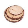Přírodní dřevěné kolečko / podložka k domalování a dotvoření 2. jakost (Balení 1 ks, Varianta 1 (Ø14 cm) přírodní)