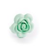 Teethers RoseFlower Mint 530x@2x