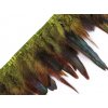 Prýmek - kohoutí peří 14-16 cm (Balení 1 m, Varianta 1 zelená sv.)