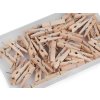 Dřevěné kolíčky s hřebíčkem 7x35 mm v boxu (Balení 1 krab., Varianta přírodní sv.)