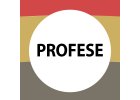 PROFESE