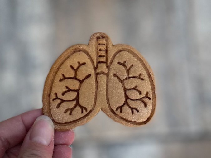 6677ADDC 70CB 4061 B68A 4BF9C73CA639