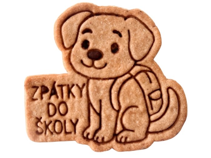 Photoroom 20250818 151307