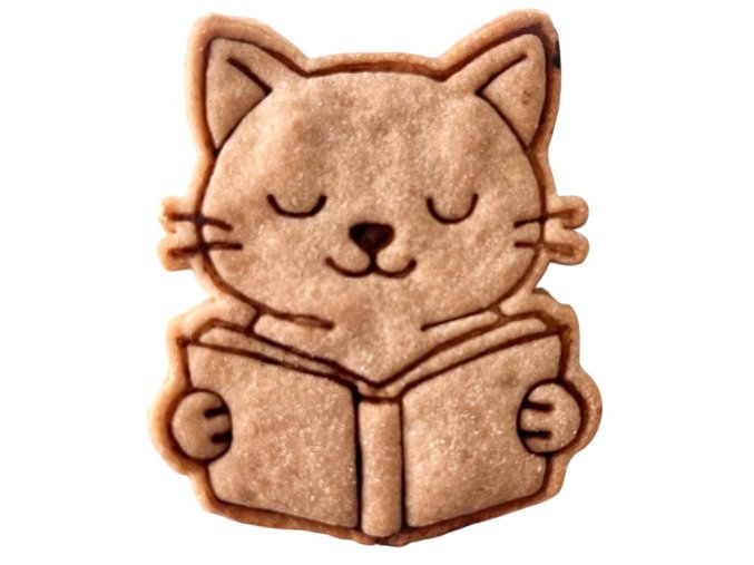 Photoroom 20250818 151341