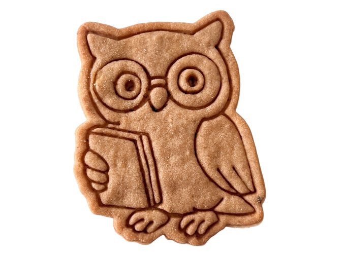 Photoroom 20250818 151152