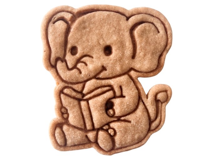 Photoroom 20250818 151052