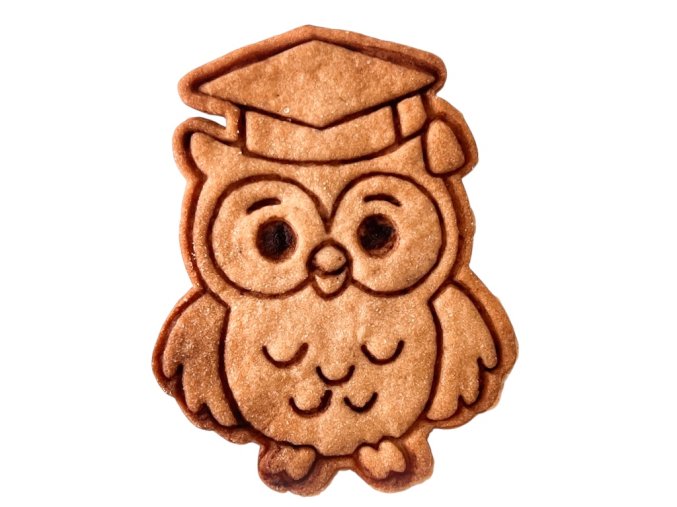 Photoroom 20250818 152147