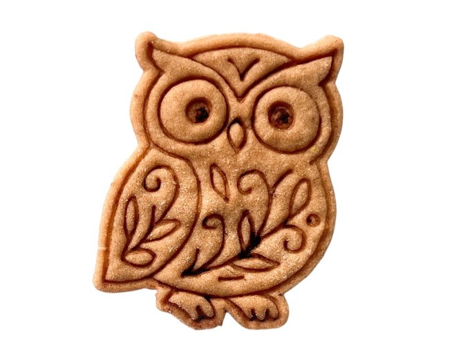 Photoroom 20250821 180755