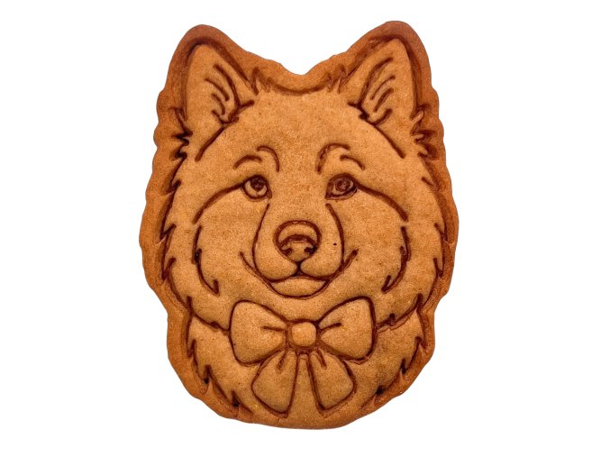 Photoroom 20251102 122955