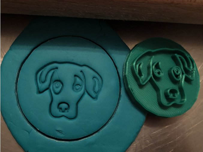 catahoula 1